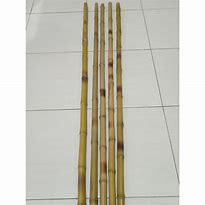 Tongkat Bambu 160 Cm